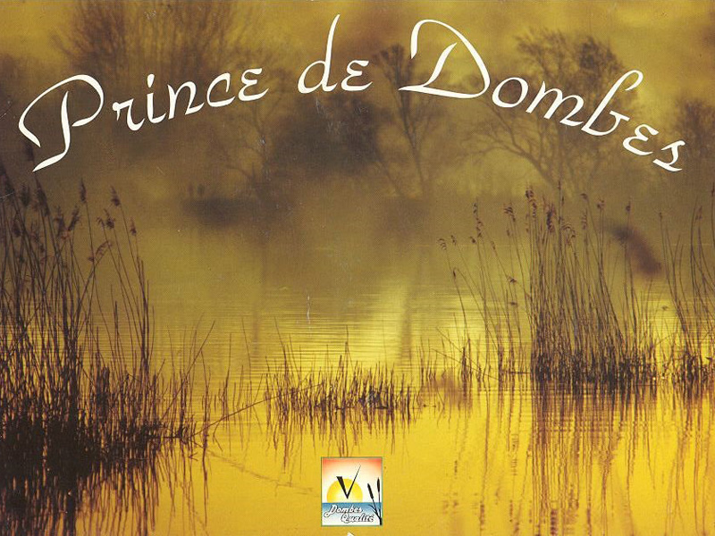 logo dombes mieral