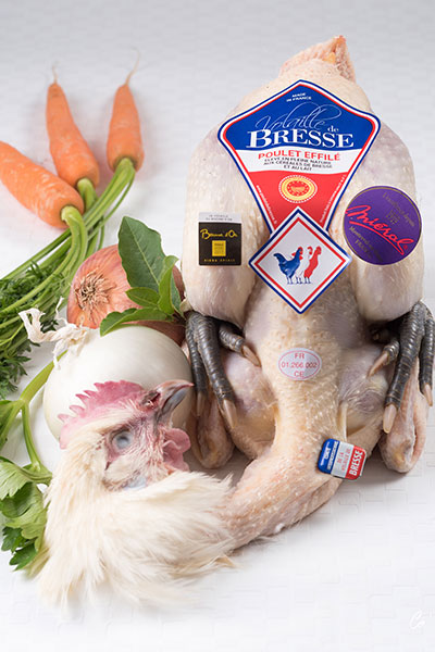 Poulette de Bresse