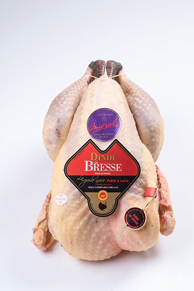 AOP Bresse turkey cock