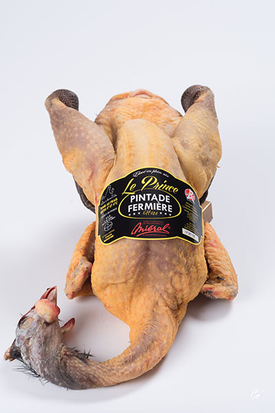 Free range guinea fawl ‘’Label Rouge’’ ’’Prince de Dombes’’