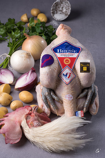 AOP Male Bresse chicken